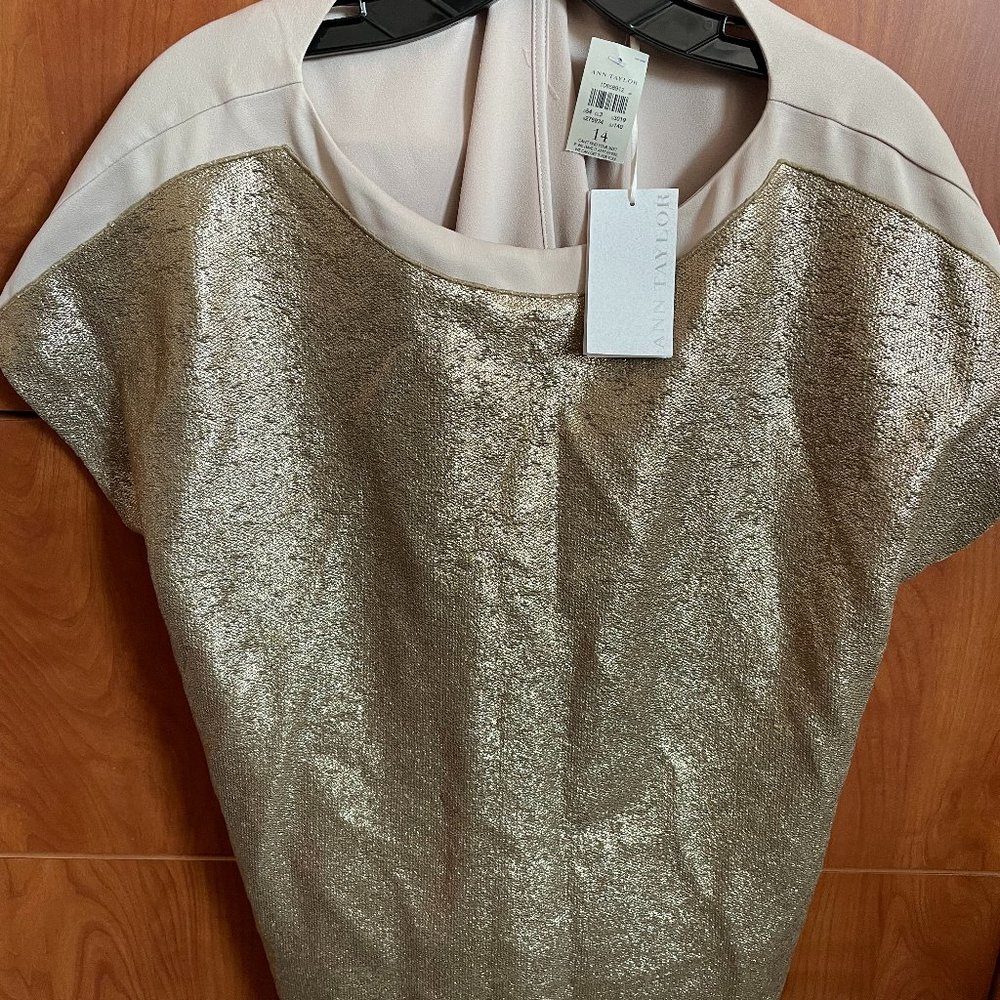 Ann Taylor Blouse  14 good conditions